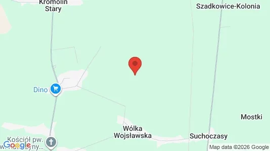 Apartments for rent in Zduńskowolski - Photo from Google Street View