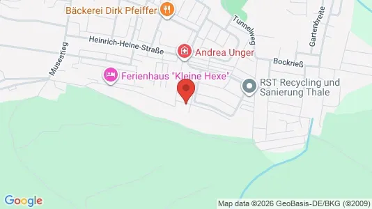 Apartments for rent in Harz - Photo from Google Street View
