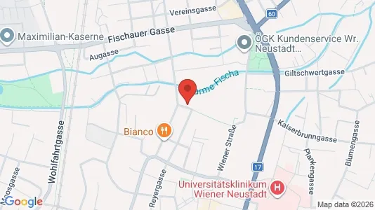 Apartments for rent i Bad Fischau-Brunn - kort over placeringen