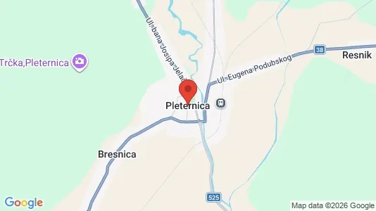 Houses for rent in Pleternica - Photo from Google Street View