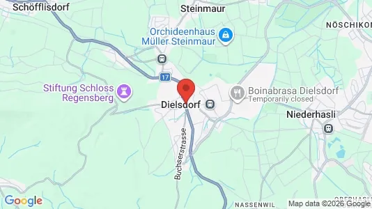 Apartments for rent i Dielsdorf - kort over placeringen