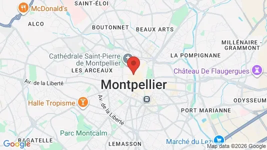 Apartments for rent i Montpellier - kort over placeringen