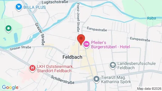 Apartments for rent i Edelsbach bei Feldbach - kort over placeringen