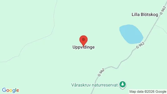 Apartments for rent in Uppvidinge - Photo from Google Street View