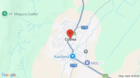 Houses for rent in Codlea - Photo from Google Street View