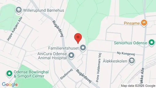 Apartments for rent i Odense C - kort over placeringen