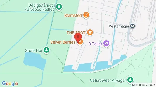 Apartments for rent in Copenhagen S - Photo from Google Street View