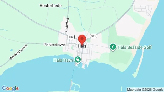 Apartments for rent in Hals - Photo from Google Street View