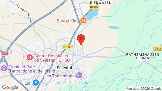 Apartments for rent i Sélestat-Erstein - kort over placeringen