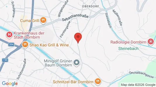 Apartments for rent in Dornbirn - Photo from Google Street View