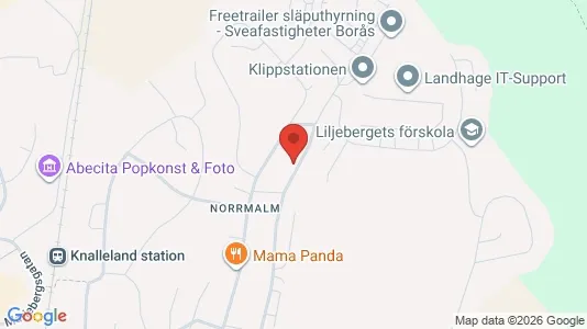Apartments for rent i Borås - kort over placeringen
