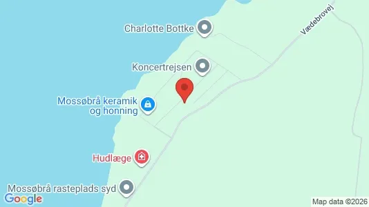 Apartments for rent in Skanderborg - Photo from Google Street View