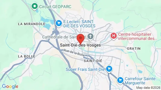 Apartments for rent in Saint-Dié-des-Vosges - Photo from Google Street View