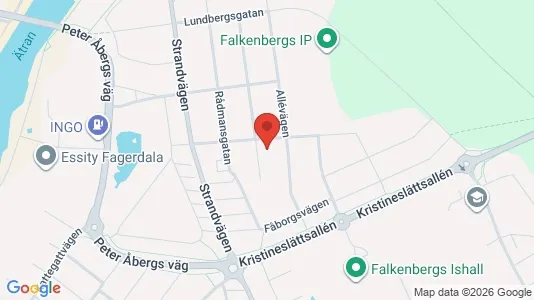 Apartments for rent in Falkenberg - Photo from Google Street View
