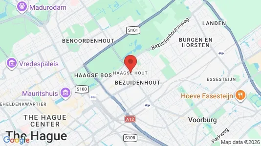 Apartments for rent in The Hague Haagse Hout - Photo from Google Street View