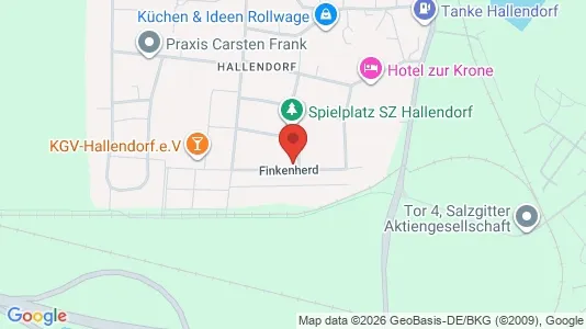 Apartments for rent i Salzgitter - kort over placeringen