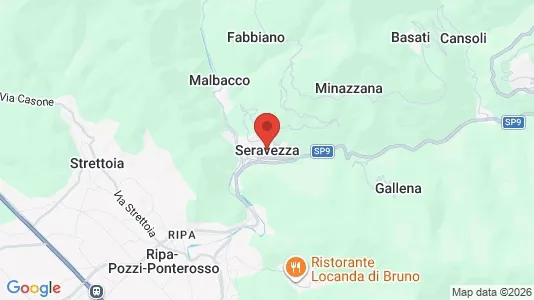 Houses for rent i Seravezza - kort over placeringen