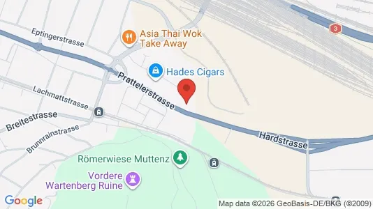 Apartments for rent i Arlesheim - kort over placeringen