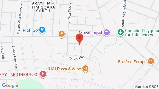 Apartments for rent i Timişoara - kort over placeringen