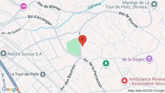 Apartments for rent i Riviera-Pays-d'Enhaut - kort over placeringen