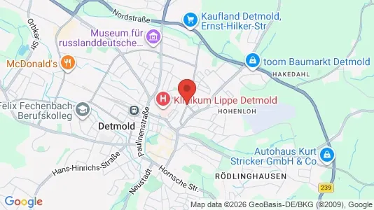 Apartments for rent in Lippe - Photo from Google Street View