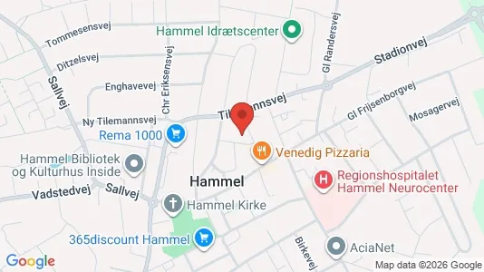 Apartments for rent i Hammel - kort over placeringen