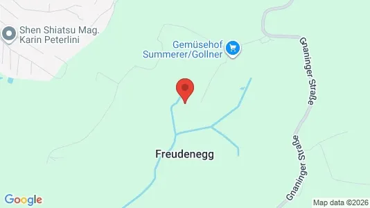 Apartments for rent in Hausmannstätten - Photo from Google Street View