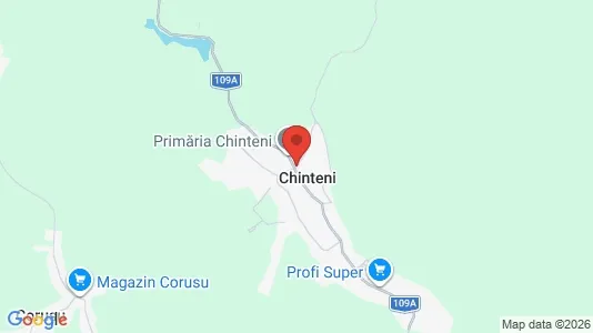 Apartments for rent i Chinteni - kort over placeringen