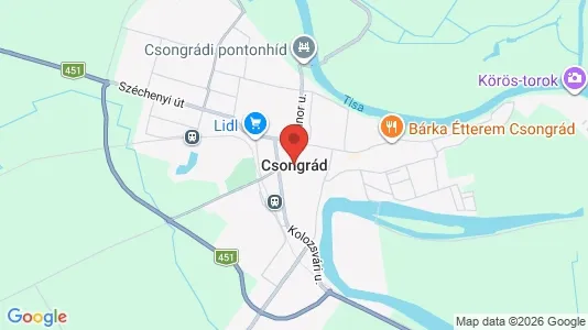 Apartments for rent in Csongrádi - Photo from Google Street View