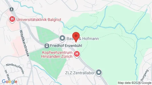 Apartments for rent in Meilen - Photo from Google Street View