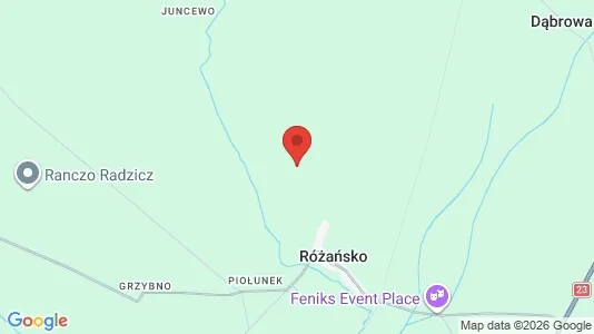 Apartments for rent in Myśliborski - Photo from Google Street View