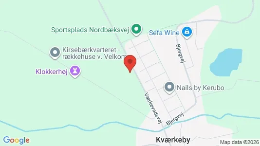 Apartments for rent in Ringsted - Photo from Google Street View