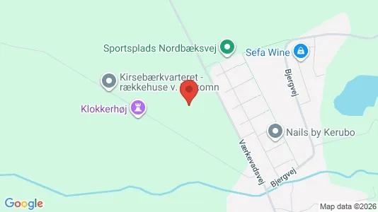 Apartments for rent in Ringsted - Photo from Google Street View