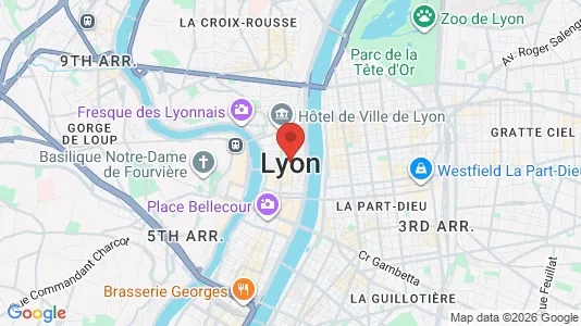 Apartments for rent in Lyon - Photo from Google Street View