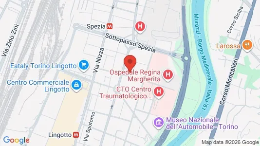 Apartments for rent i Turin - kort over placeringen
