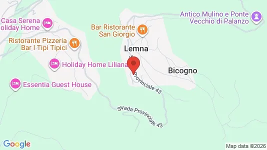 Apartments for rent i Bizzarone - kort over placeringen