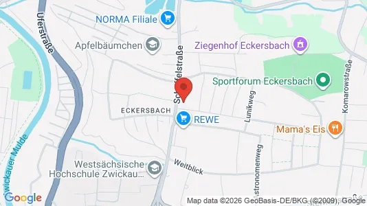 Apartments for rent in Zwickau - Photo from Google Street View