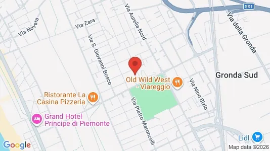 Apartments for rent i Viareggio - kort over placeringen