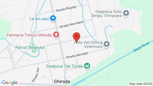 Apartments for rent i Ghiroda - kort over placeringen