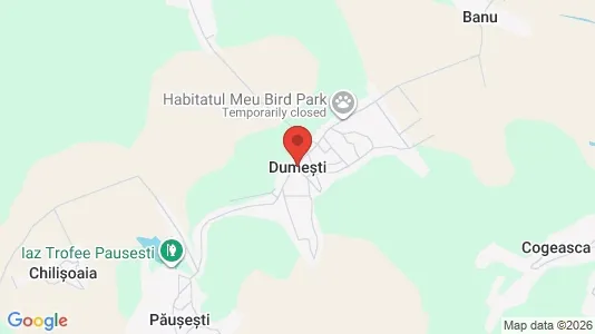 Apartments for rent i Dumeşti - kort over placeringen