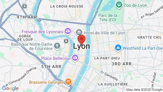 Apartments for rent in Lyon - Photo from Google Street View