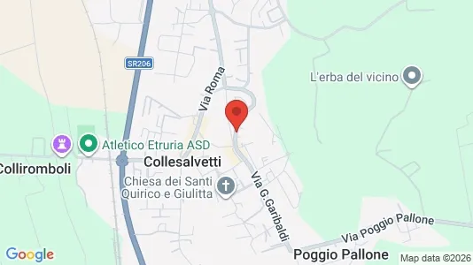 Apartments for rent i Collesalvetti - kort over placeringen