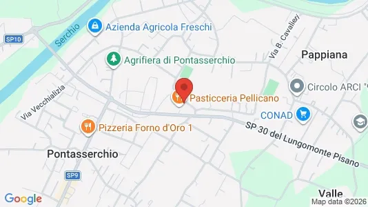 Apartments for rent i San Giuliano Terme - kort over placeringen