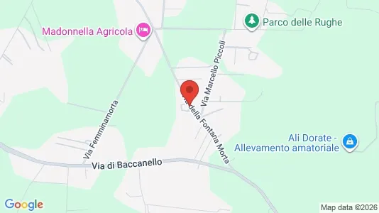 Apartments for rent i Roma Municipio XV – Cassia/Flaminia - kort over placeringen