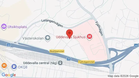 Apartments for rent in Uddevalla - Photo from Google Street View