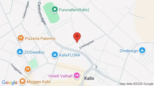 Apartments for rent in Kalix - Photo from Google Street View