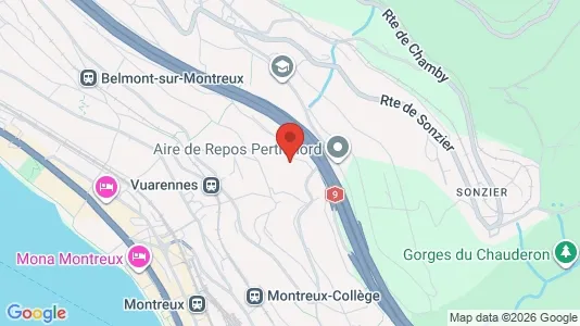 Apartments for rent i Riviera-Pays-d'Enhaut - kort over placeringen