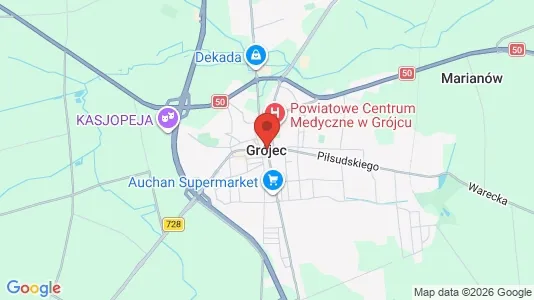 Houses for rent in Grójecki - Photo from Google Street View