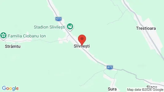 Houses for rent in Slivileşti - Photo from Google Street View