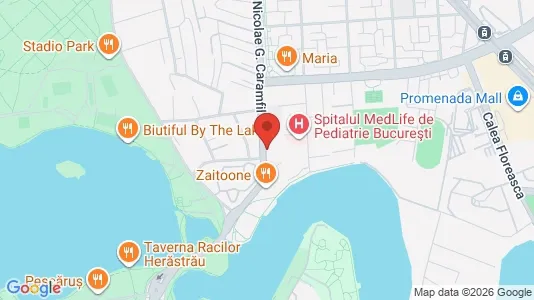 Apartments for rent in Bucharest - Sectorul 1 - Photo from Google Street View